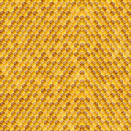 MINKY PRINTS             